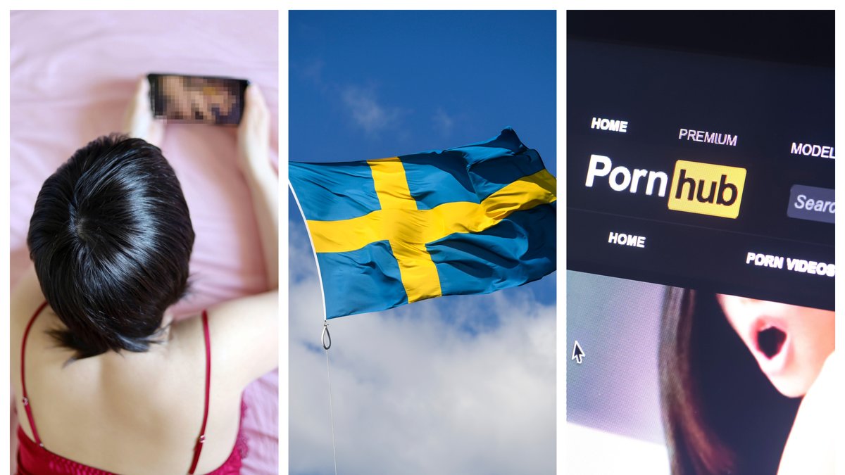 Nya siffror visar hur svenskarnas porrsurfande såg ut under 2022.